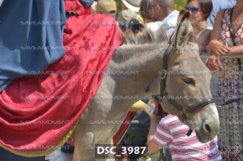 DSC_3987