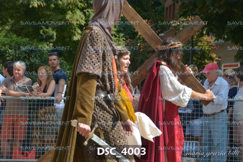 DSC_4003
